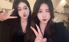 桃花直播下载观看